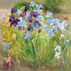 Le parterre d